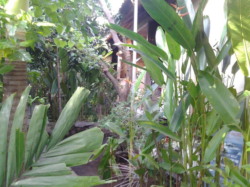 Solaluna Beach Homestay Amed  Luaran gambar